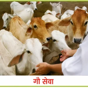 Gau Seva