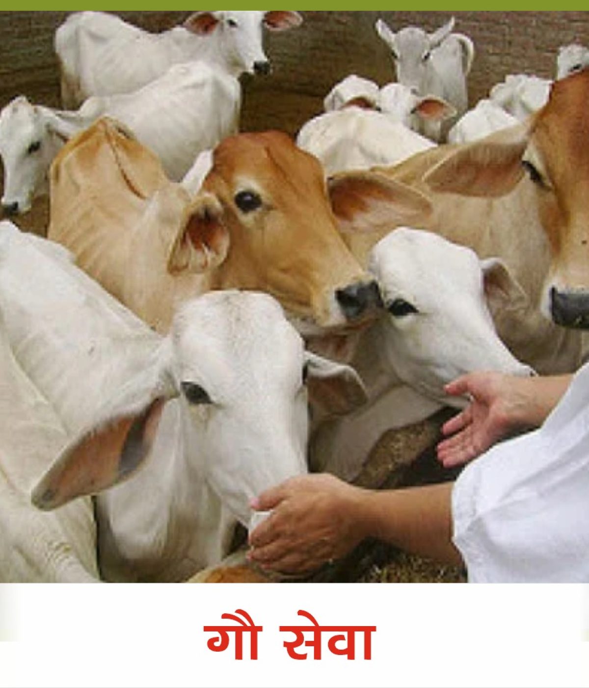 WhatsApp Image 2026-07-08 at 1.06.42 PM (1)